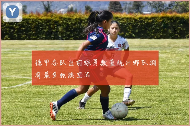 德甲各队当前球员数量统计哪队拥有最多轮换空间