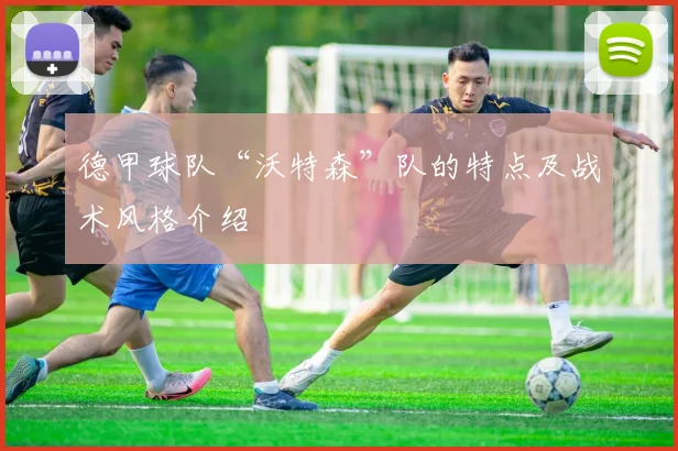 德甲球队“沃特森”队的特点及战术风格介绍