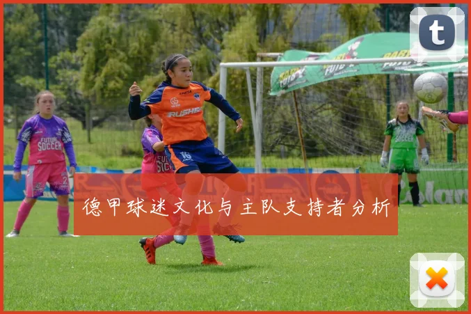 德甲球迷文化与主队支持者分析